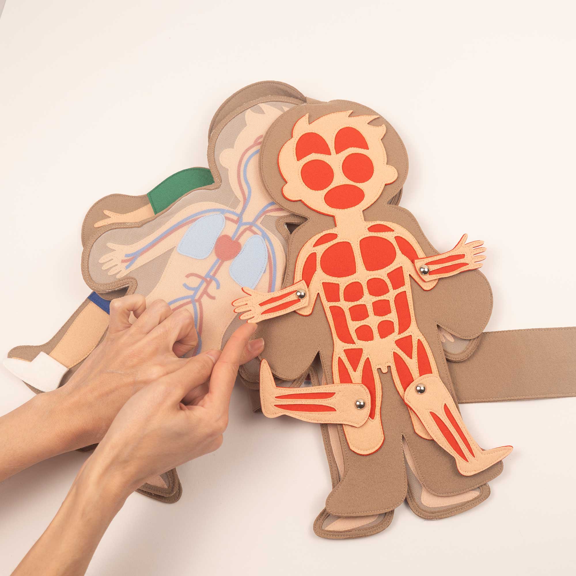 Kids Doc – Duo Corps Humain