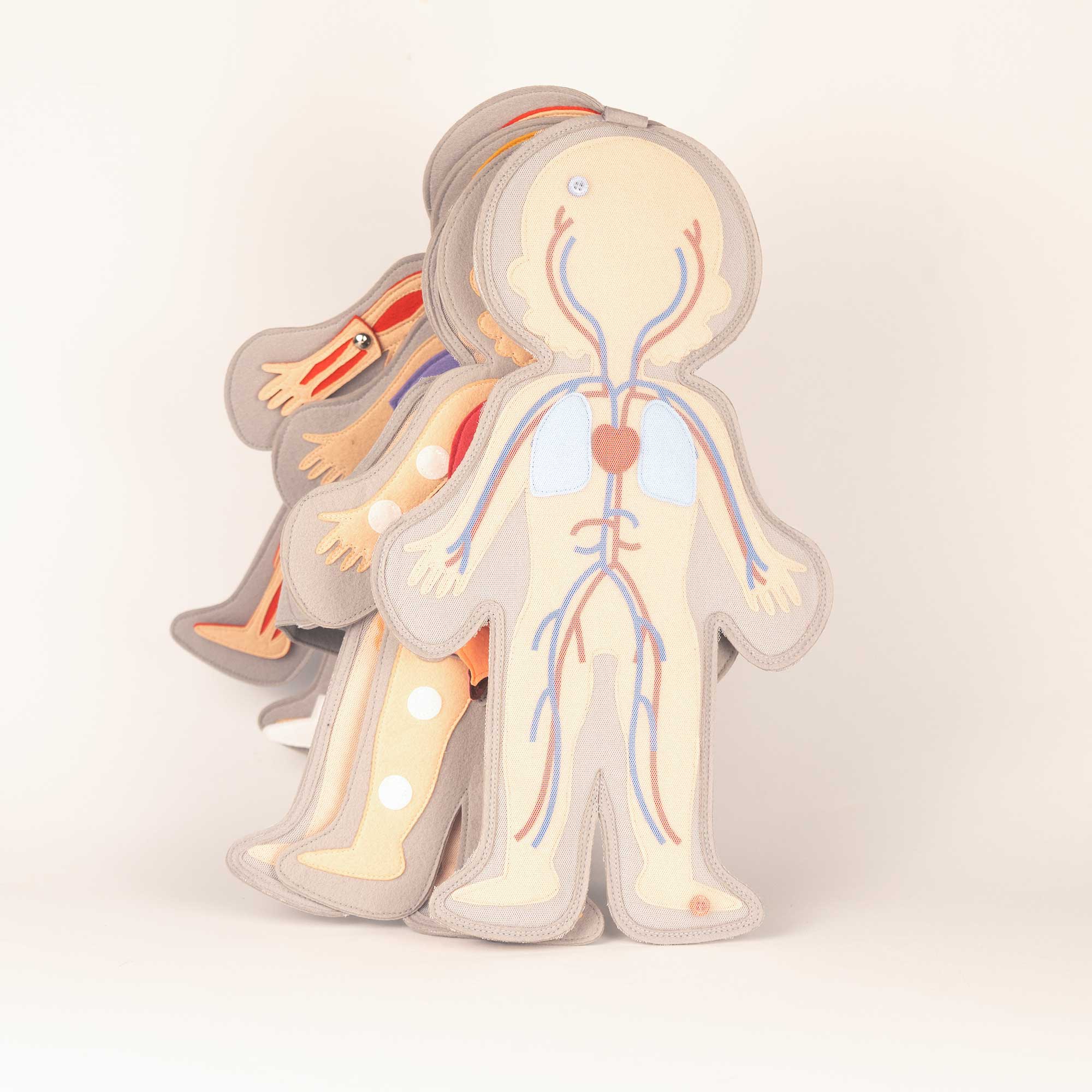 Kids Doc – Duo Corps Humain