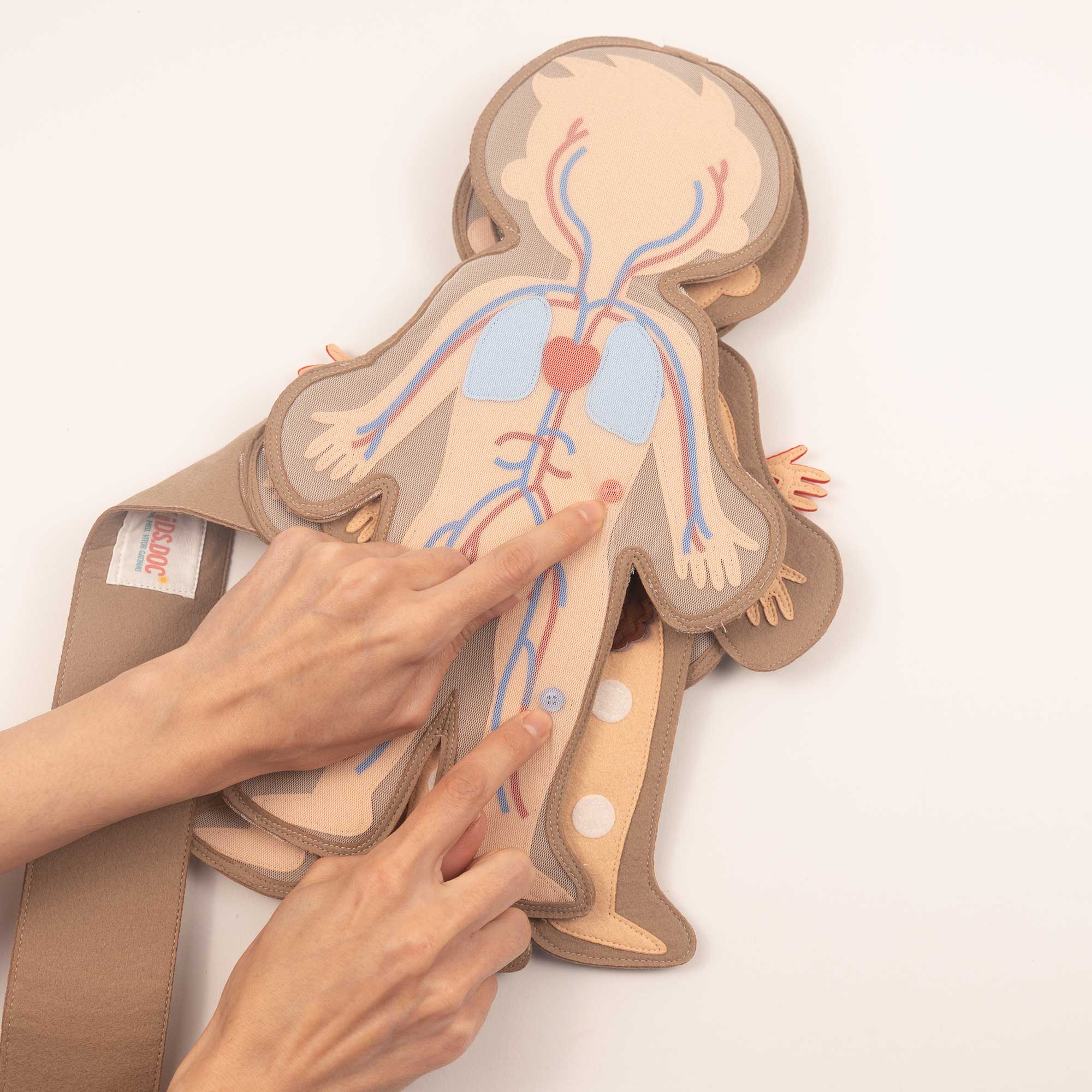 Mon Corps – Garçon